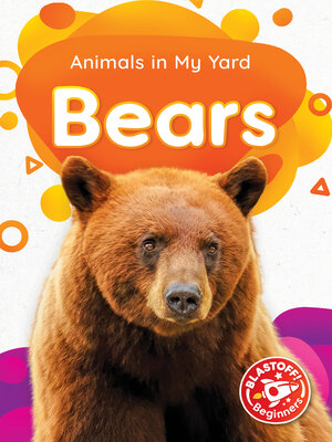 cover image of Bears